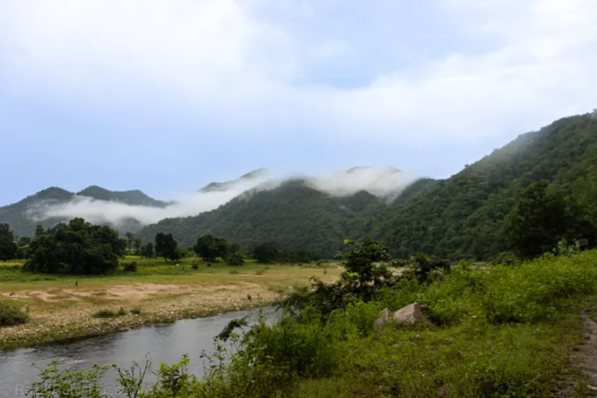 Phulwari Ki Nal Wildlife Sanctuary